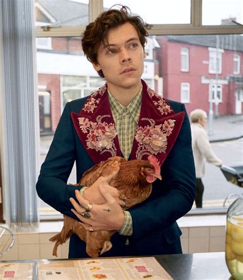 gucci spring summer 2017 campaign|gucci campaign harry styles.